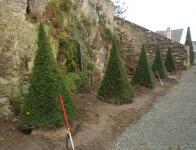 Fleurissement presbytère