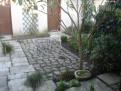 DSC00053