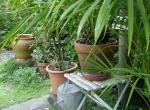 DSC00326