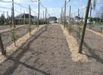 05 rond point vernusson 01 04 2015 005 1